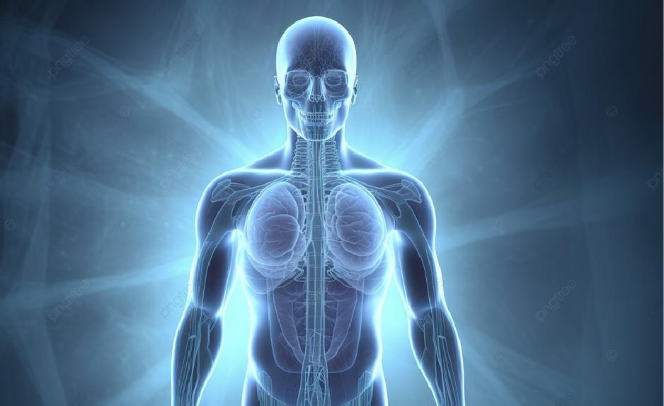 Body Structure and Function