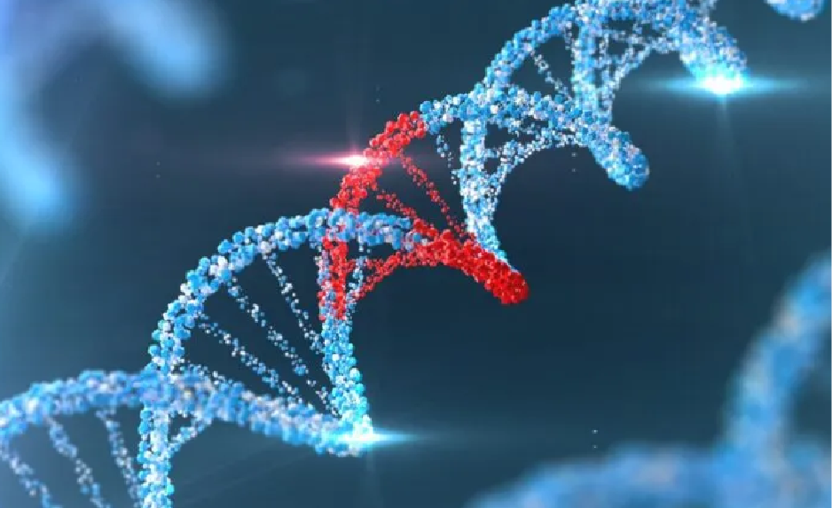 Molecular Genetics