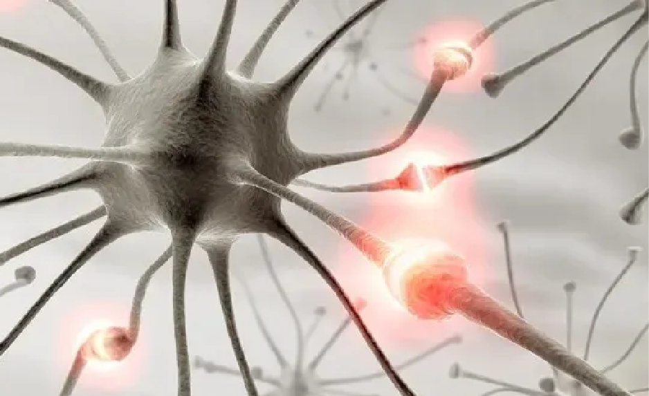 Pathobiology and Therapeutics
